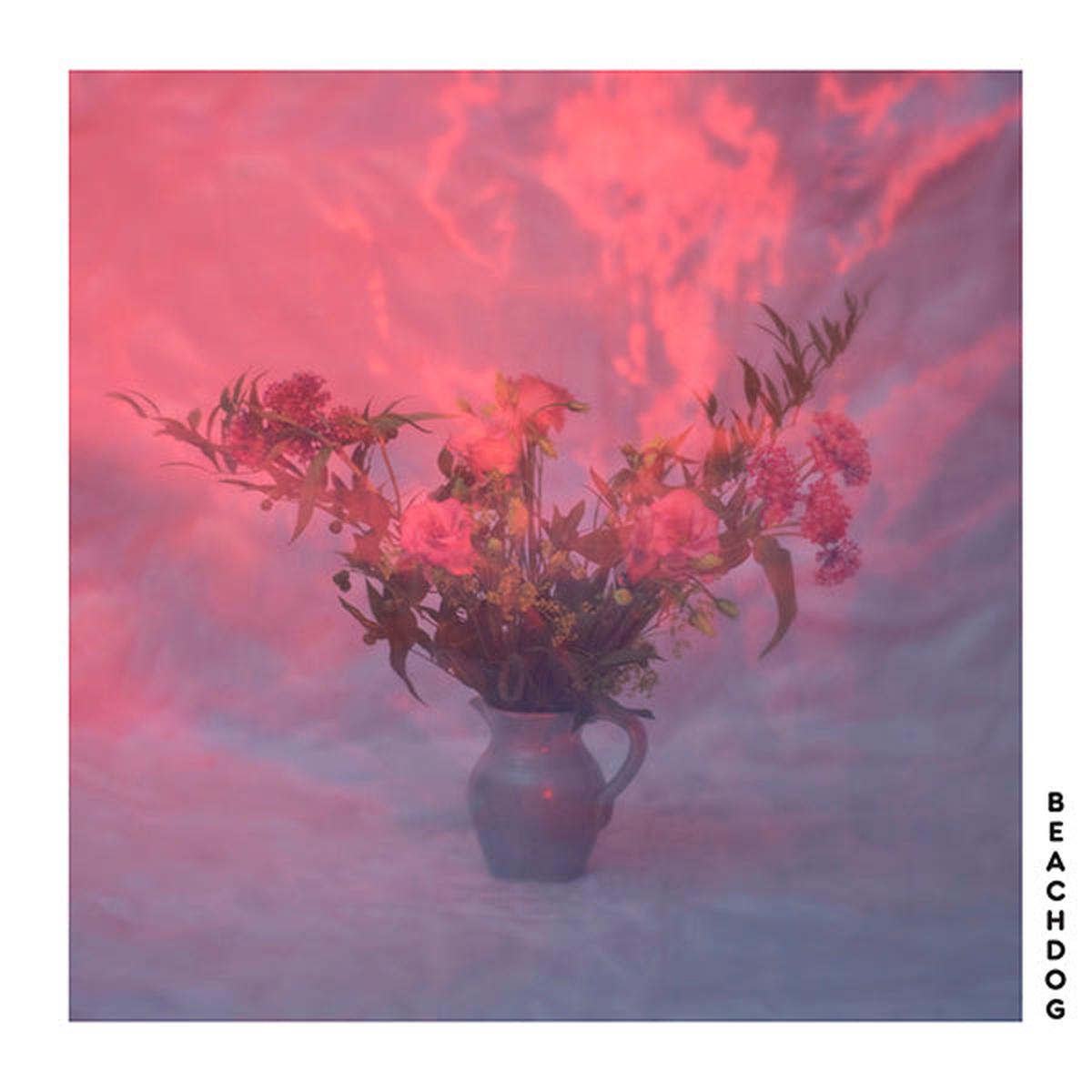 Beachdog - Beachdog (LP)