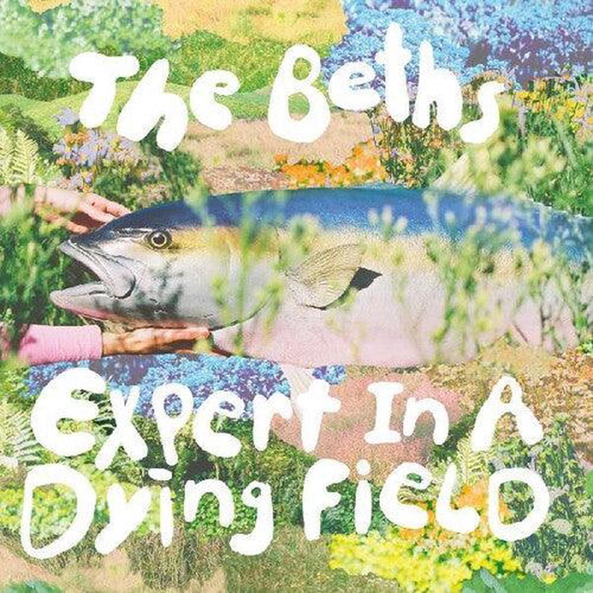 The Beths- Expert In A Dying Field