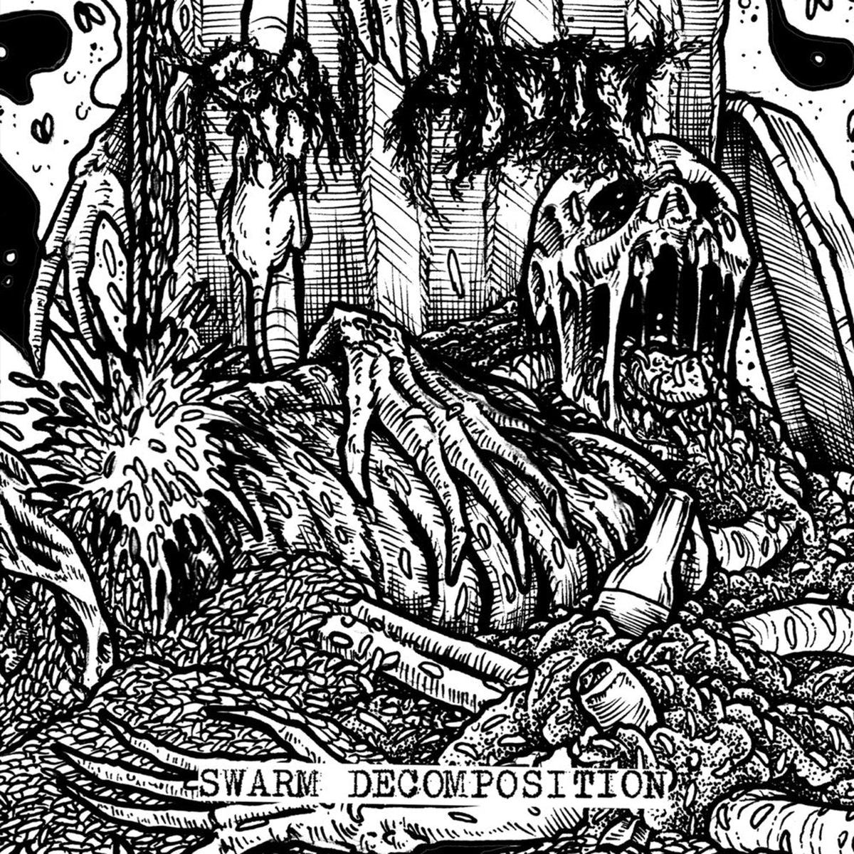Raw Addict- Swarm Decomposition