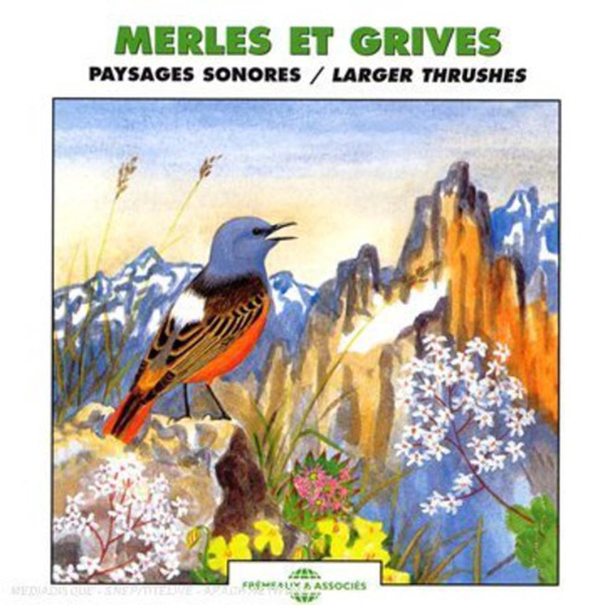 Frmeaux Nature- Larger Thrushes