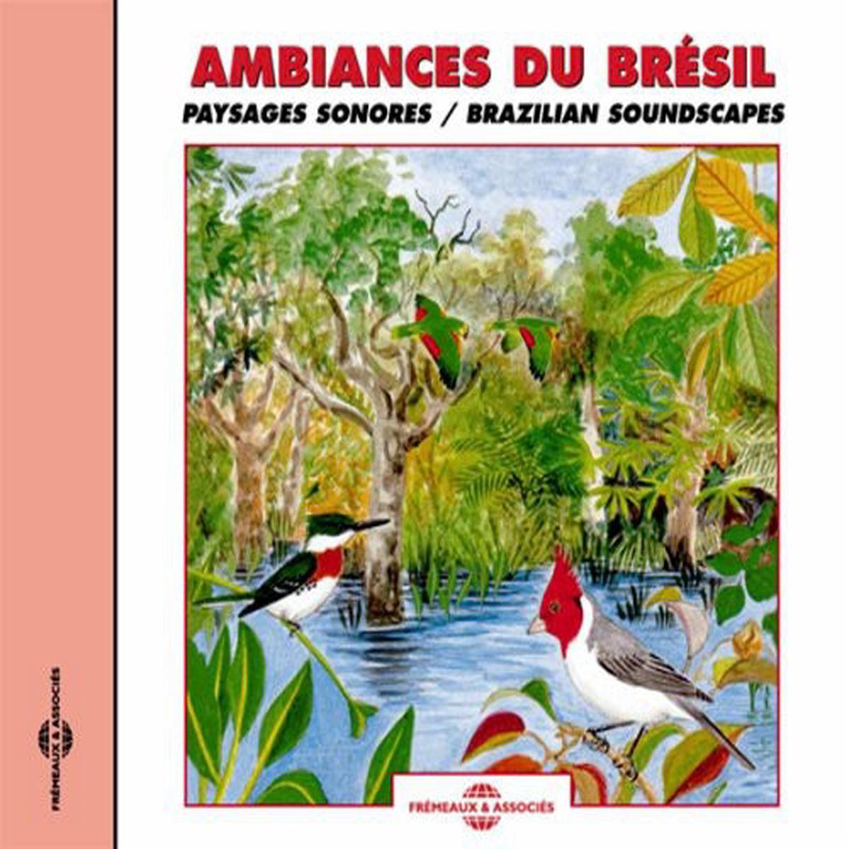Various Artists- Brazilian Soundscapes