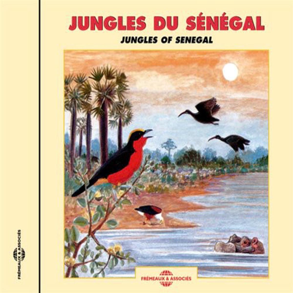 NATURAL ATMOSPHERES- Jungles of Senegal